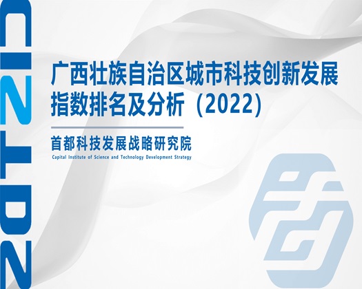 一起草屄【成果发布】广西壮族自治区城市科技创新发展指数排名及分析（2022）